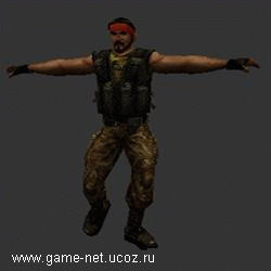 http://game-net.ucoz.ru/1-guerilla.gif